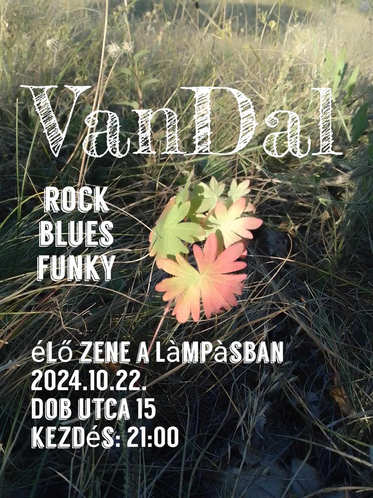 Van-Dal live music rock blues funky