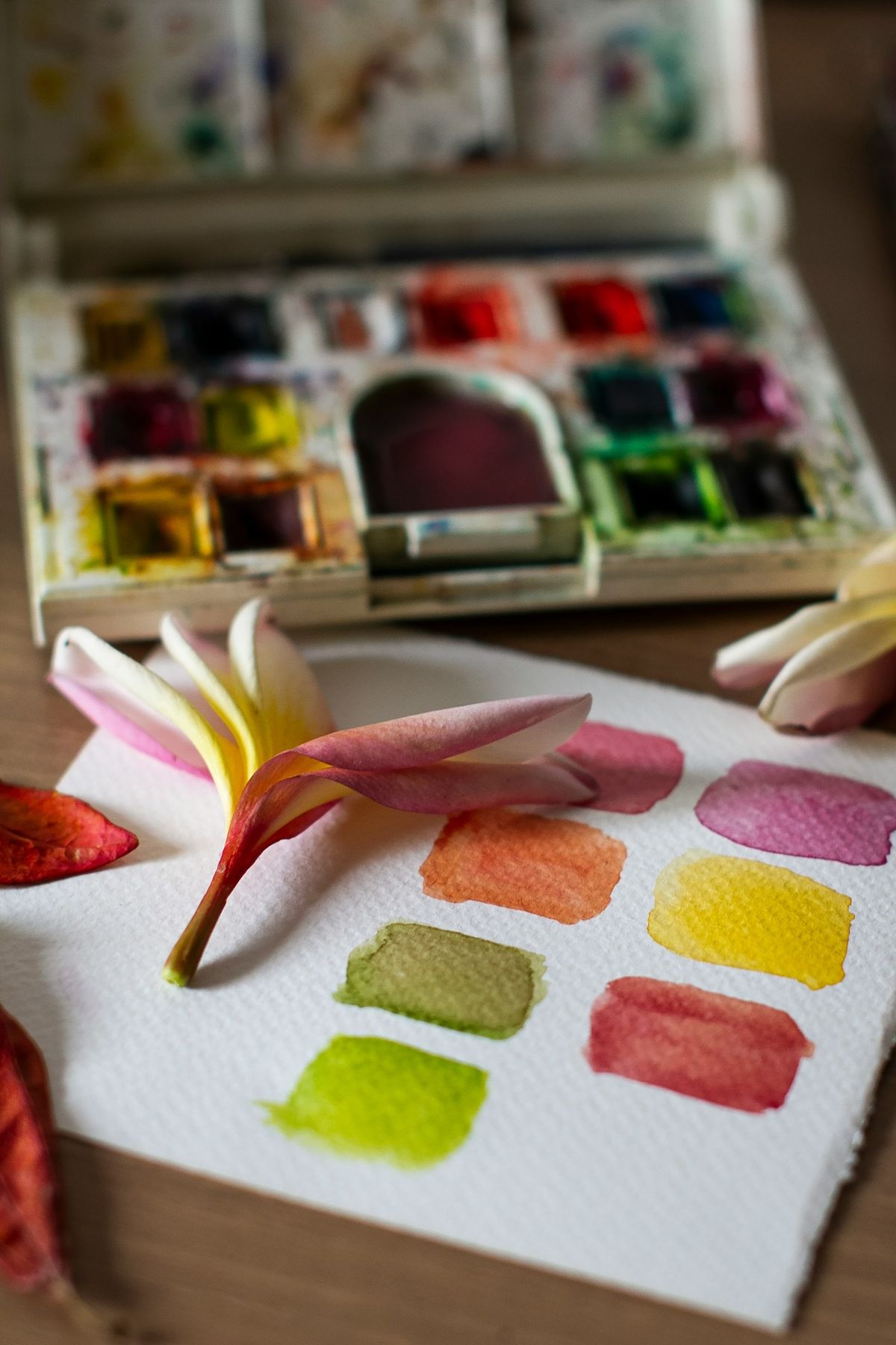Introduction to Watercolor Painting at Bill Memorial Library (Registration Required)