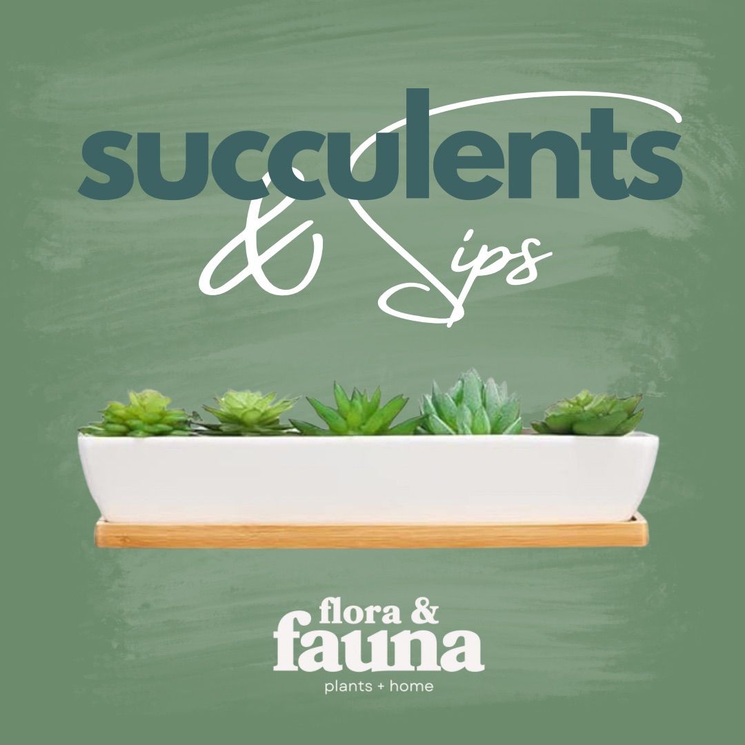 Succulents & Sips at Rustic Cork