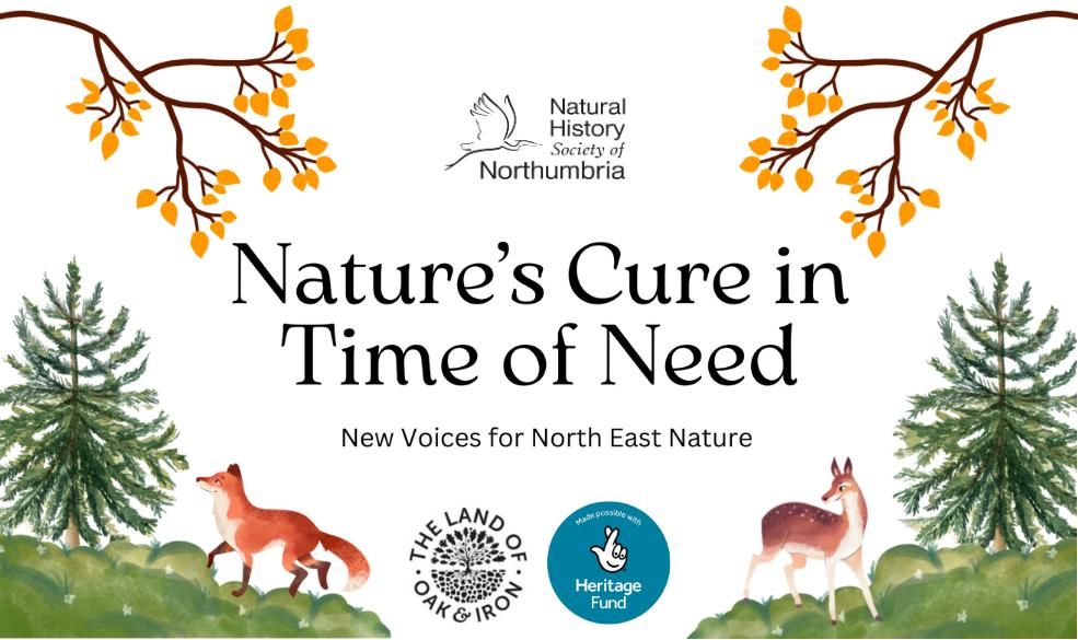 Nature\u2019s Cure in Time of Need: Community Workshop