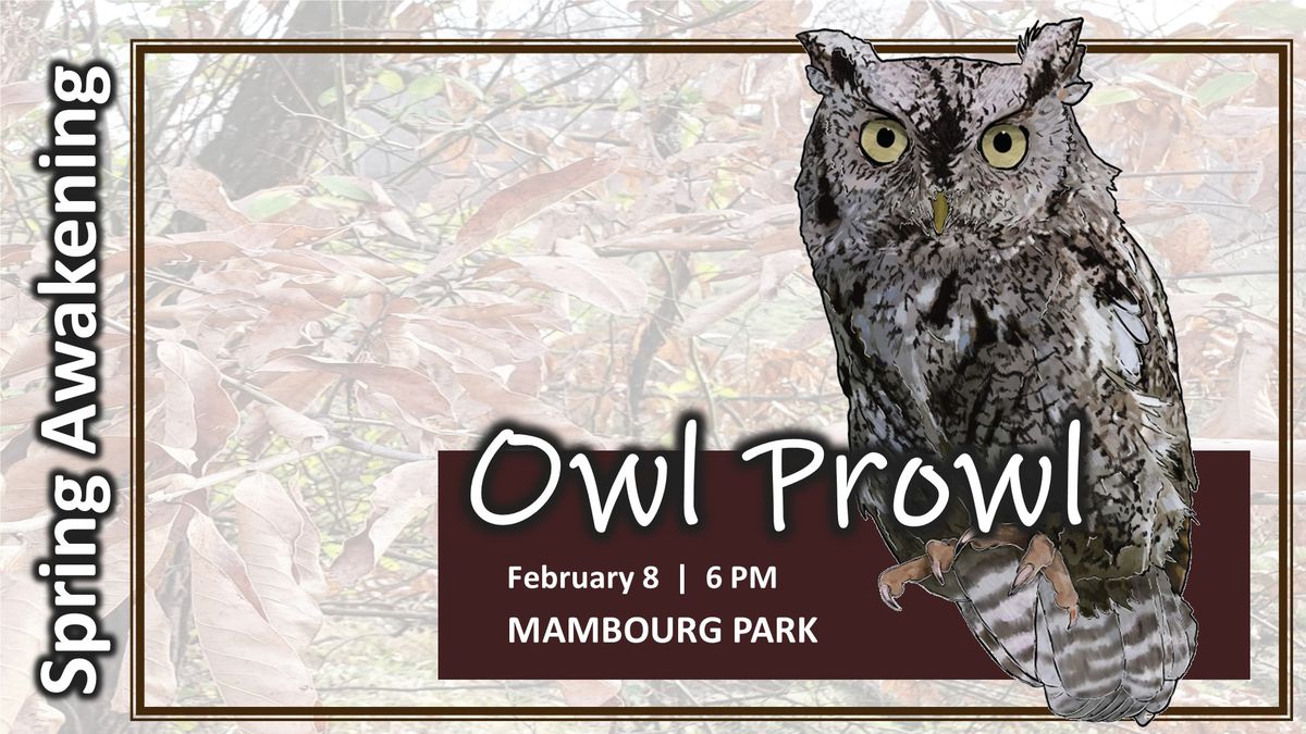 Spring Awakening: Owl Prowl (Mambourg Park)