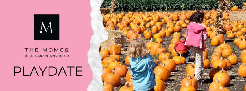 Fall Fun @ Klickers Pumpkin Patch