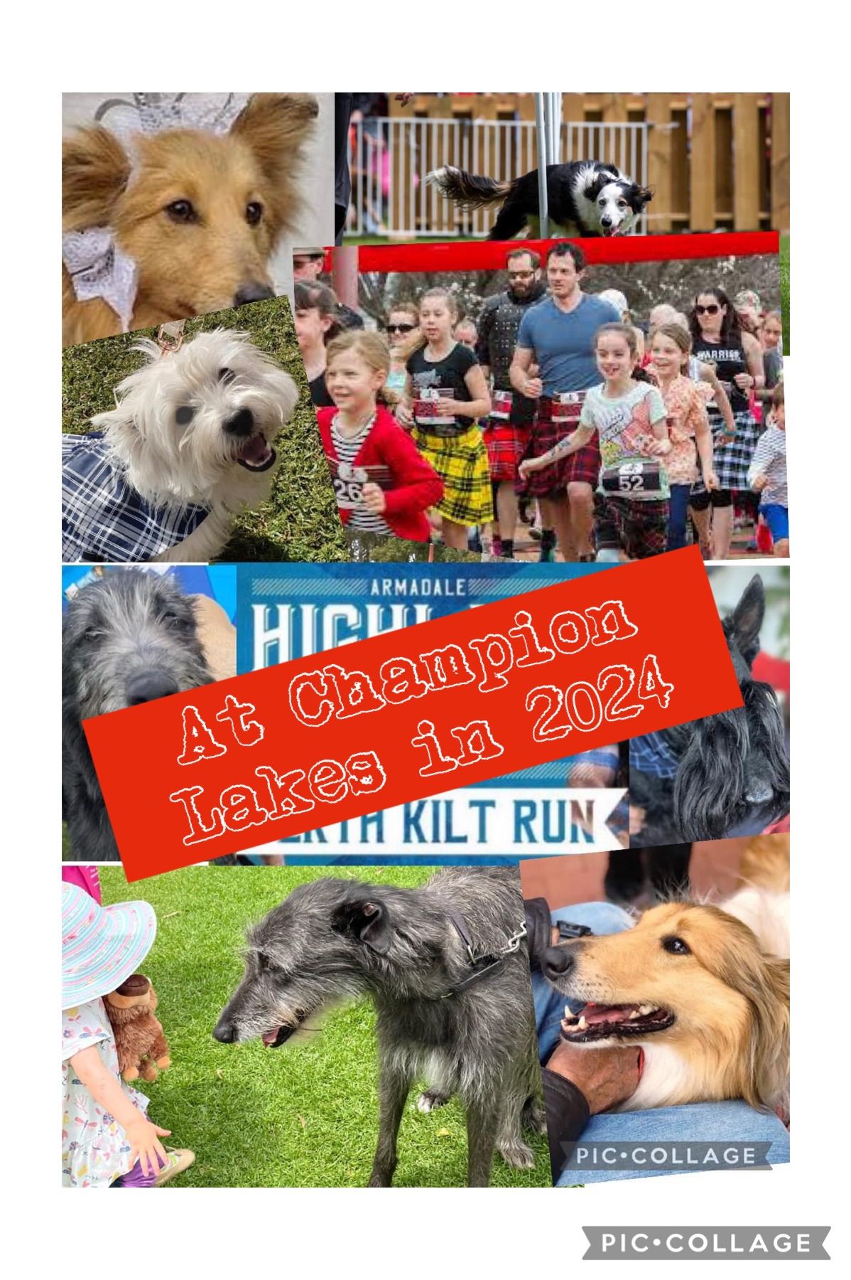 Meet and Greet Scottish Dogs at the Armadale Highland Gathering