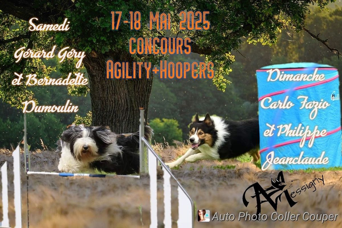 concours Agility+Hoopers 