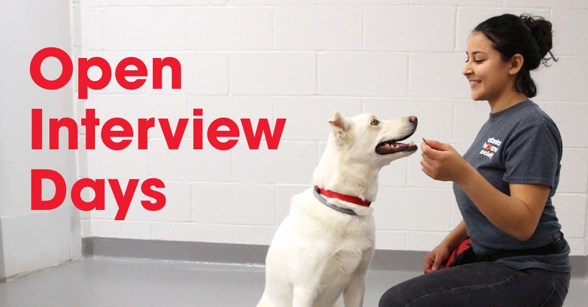 Open Interviews: Animal Welfare Specialist 