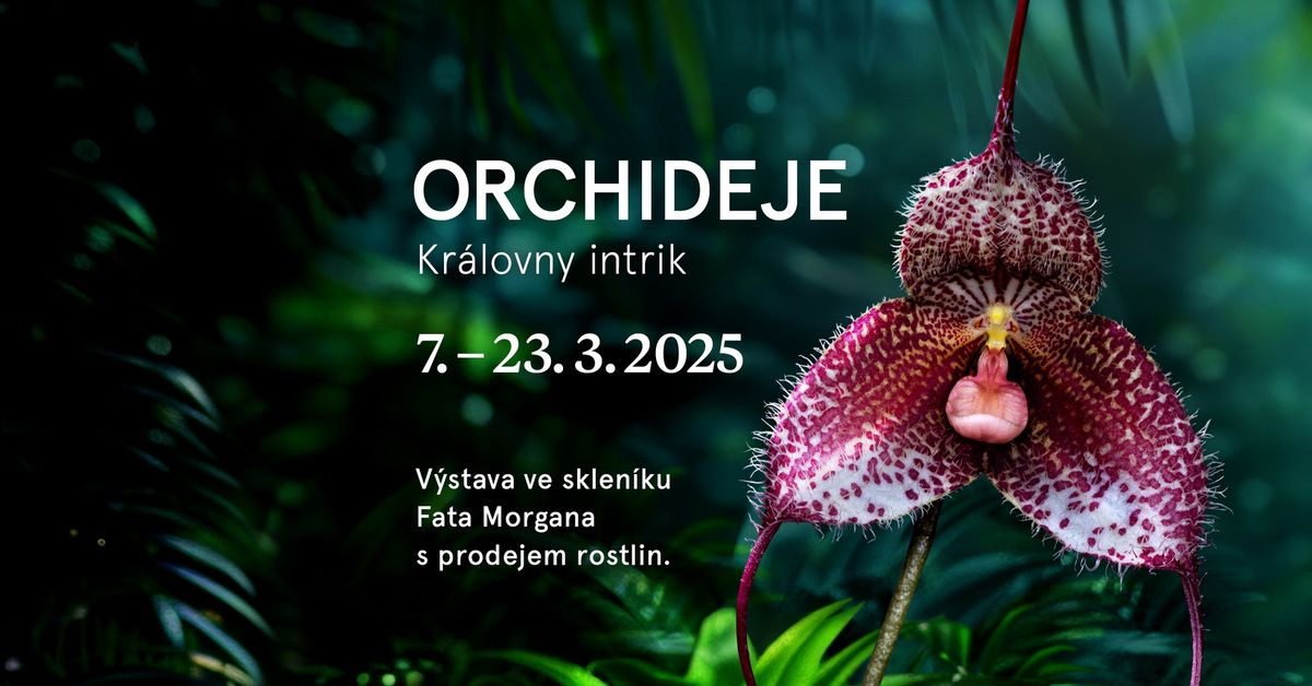  Orchideje: Kr\u00e1lovny intrik \u2013 v\u00fdstava orchidej\u00ed s prodejem rostlin