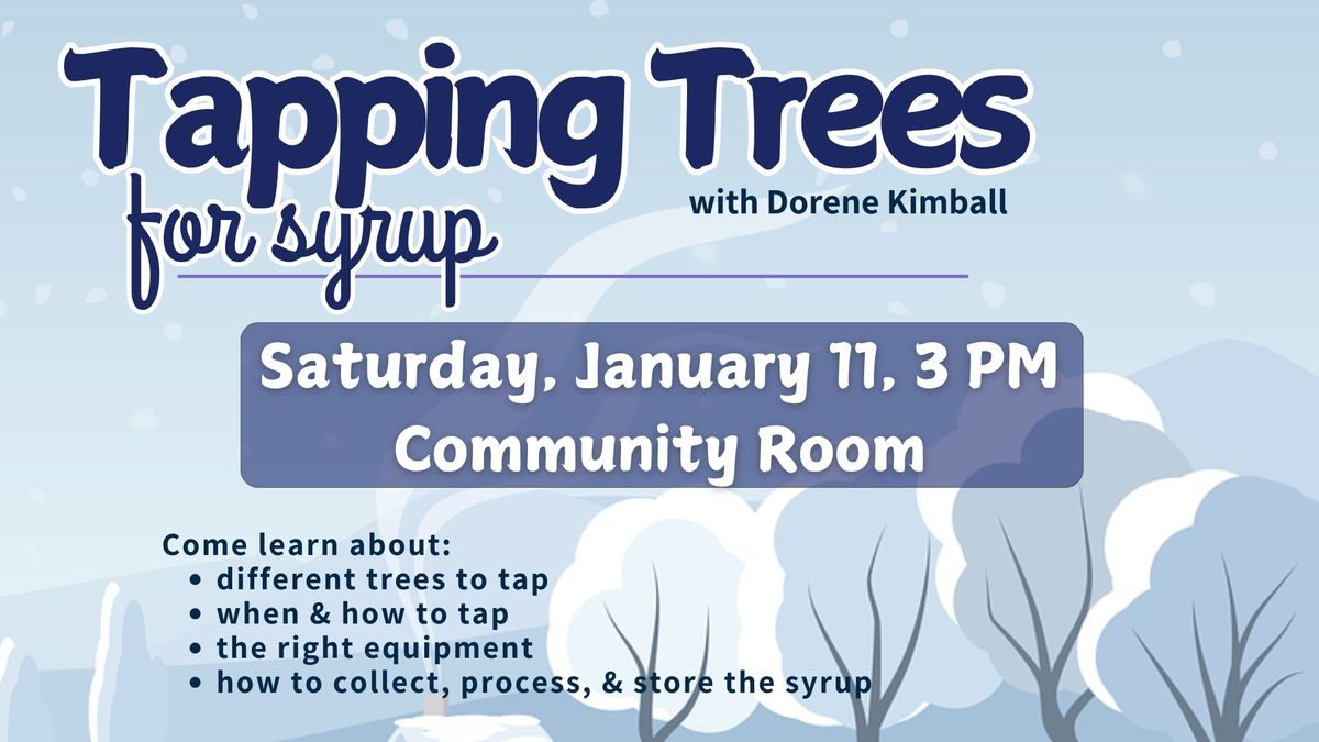 Tapping Trees for Syrup