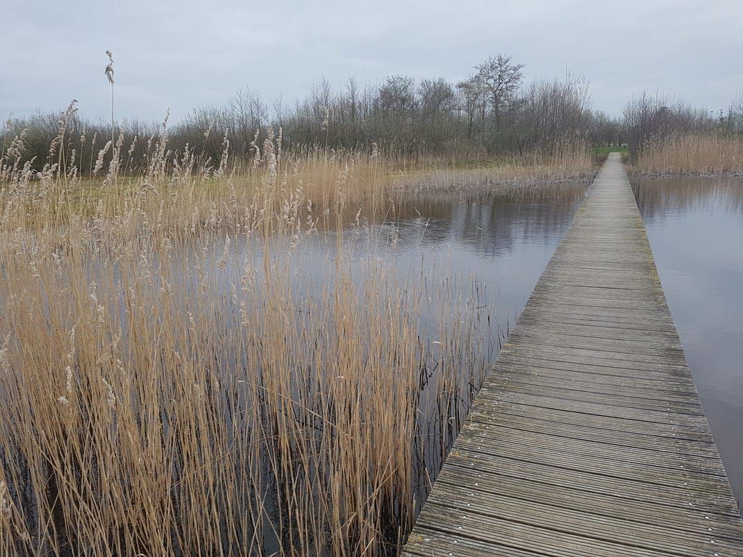 De Groene Grensloop