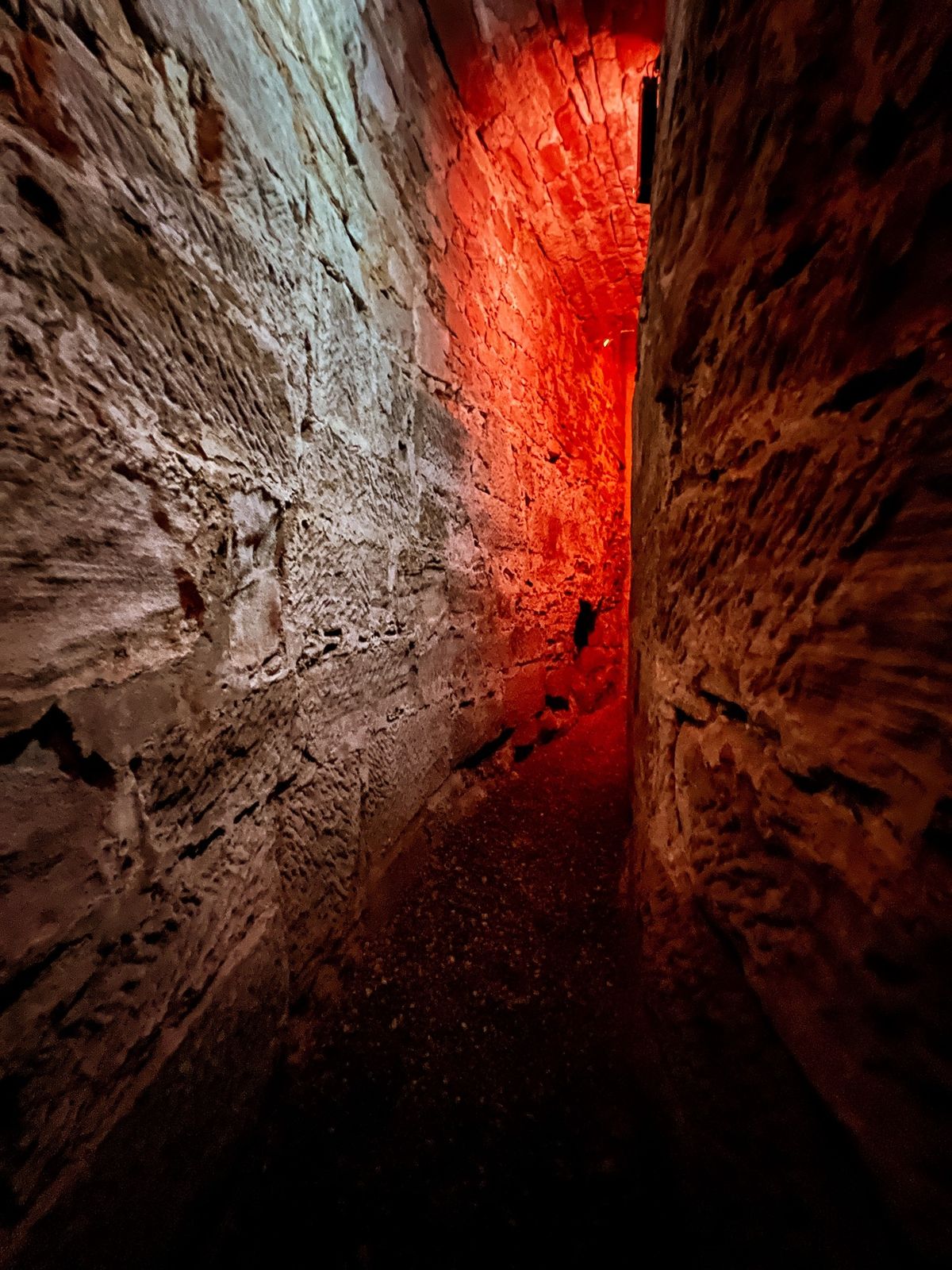 Count Palatinate Hall with the subterranean tunnels