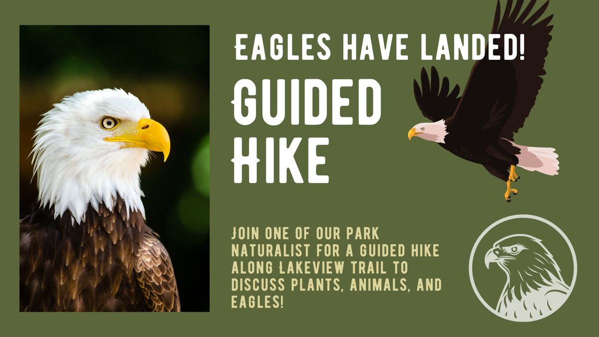 Eagles Have Landed! -Guided Hike