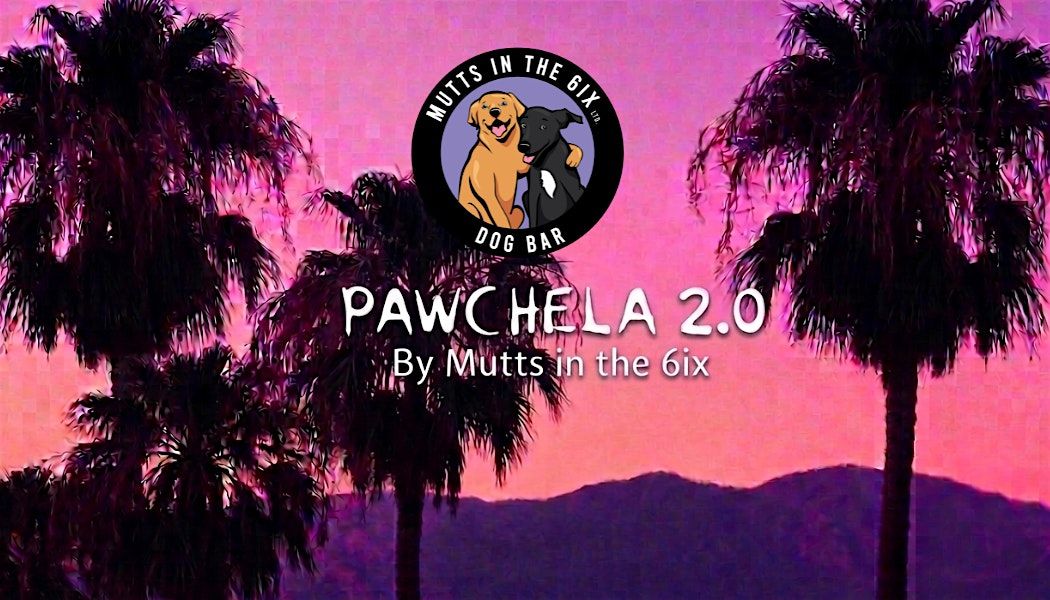 Pawchella: Kicking Off Your Hot Girl Summer With Dogs