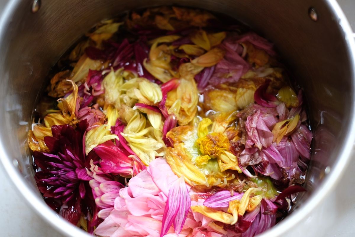 Creative Natural Dyeing