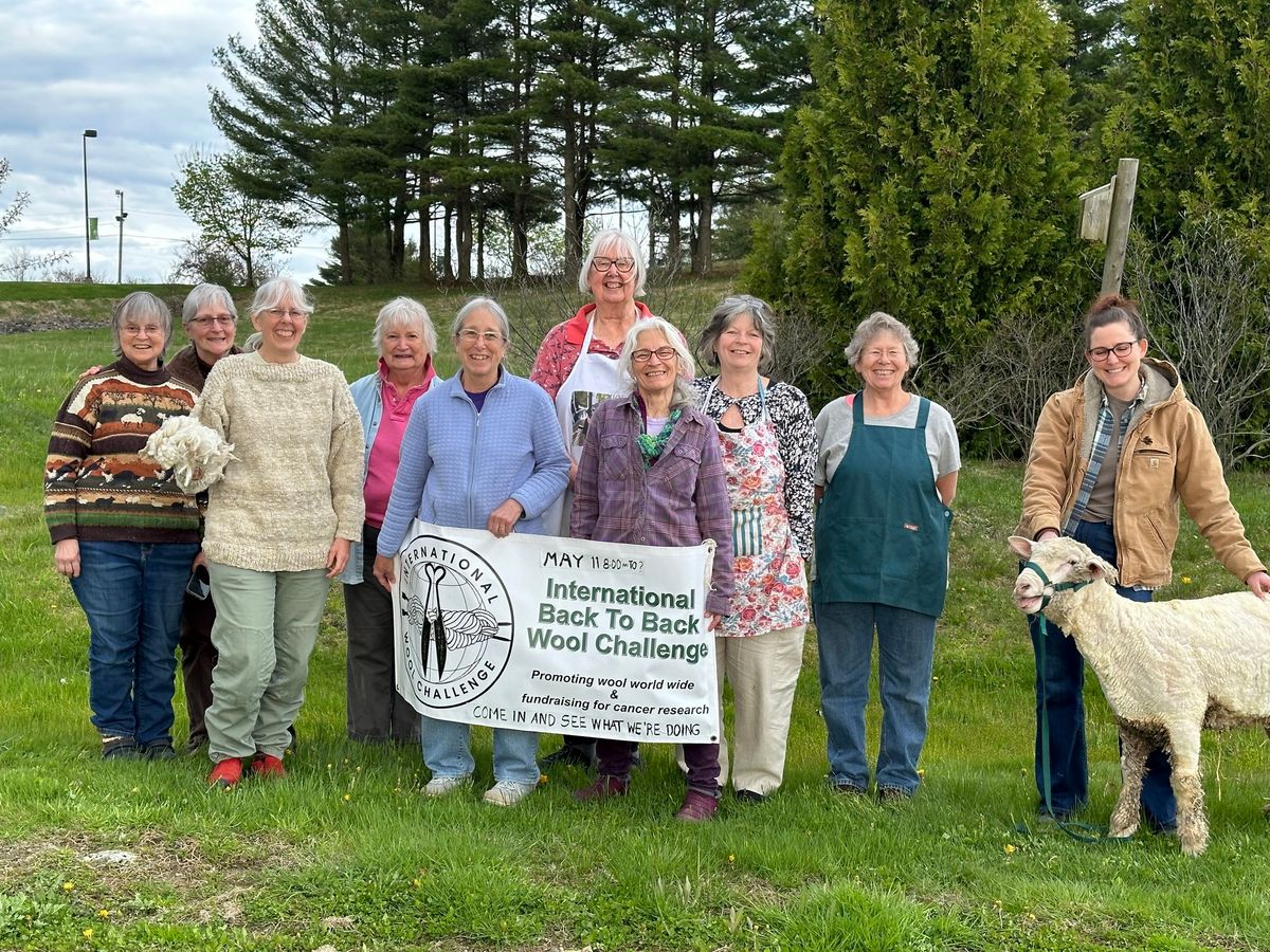 Challenge Day - International Back to Back Wool Challenge with Mainely Spinners