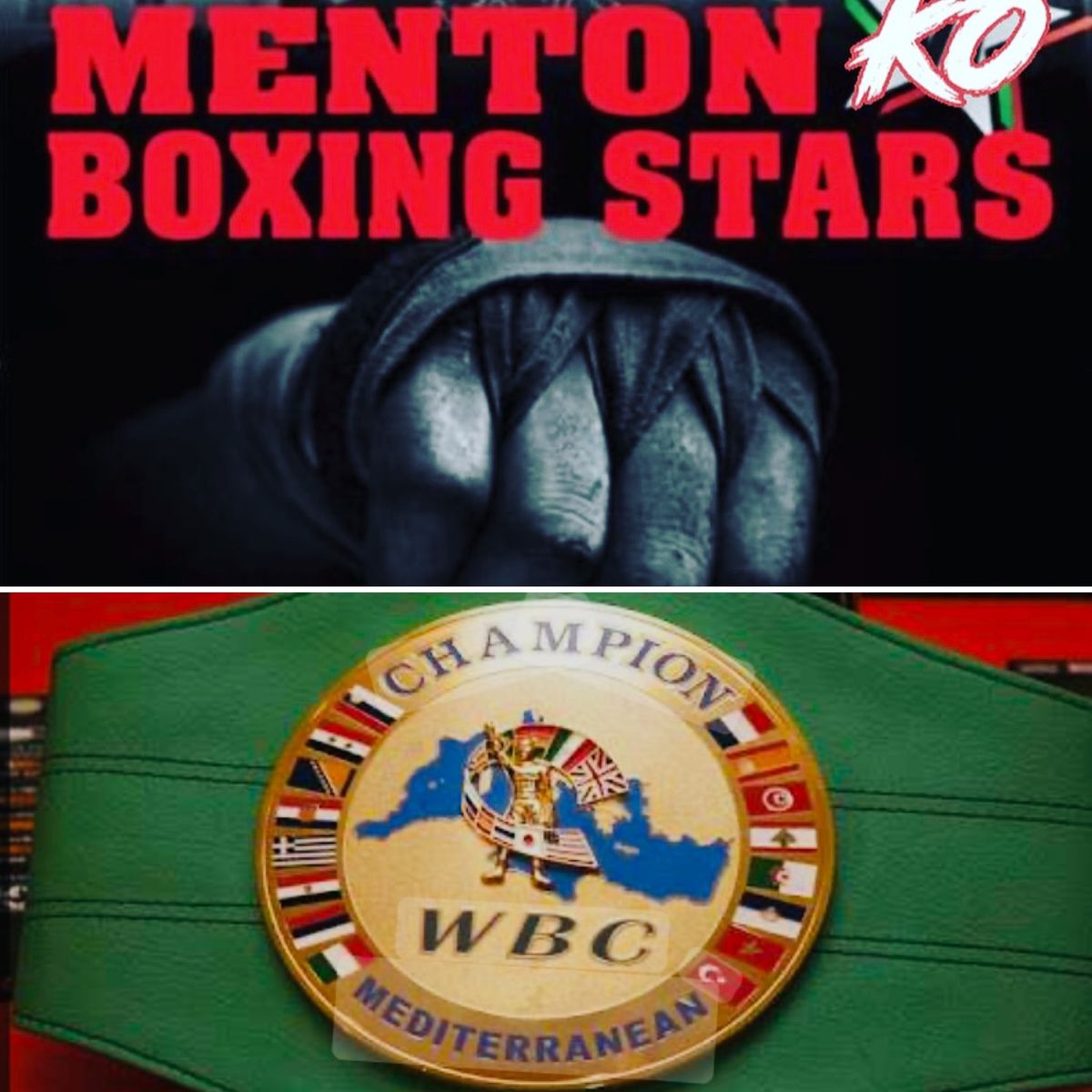 Menton Boxing Stars 11