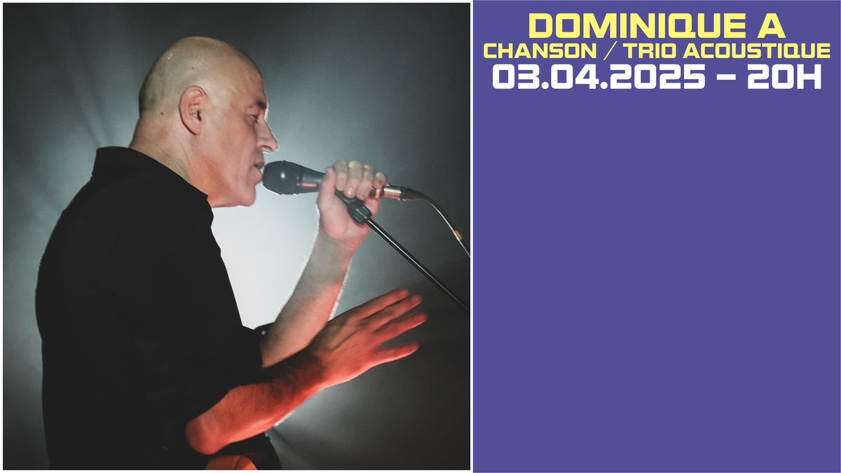 CONCERT >> DOMINIQUE A 