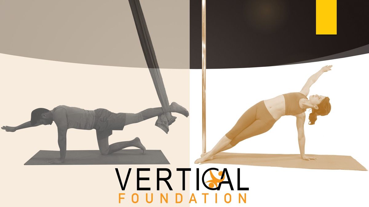 Vertical Foundation Pole & Aerial Teacher Training