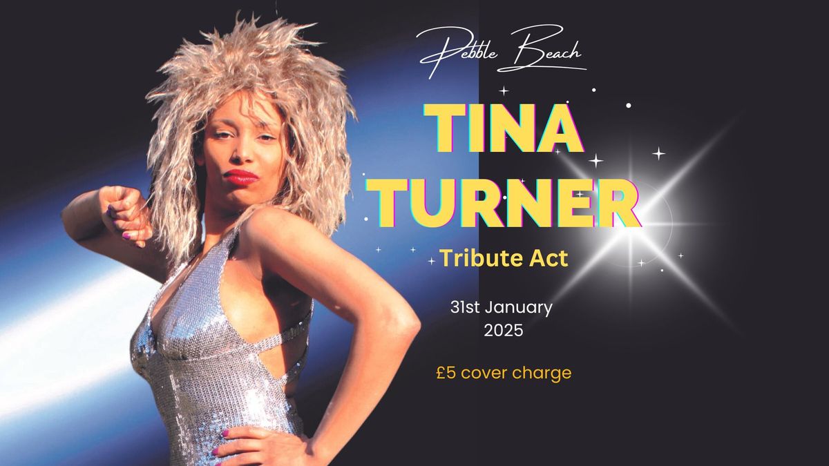 Tina Turner Tribute Act