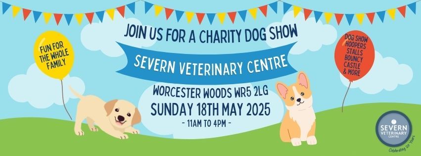 Charity Dog Show