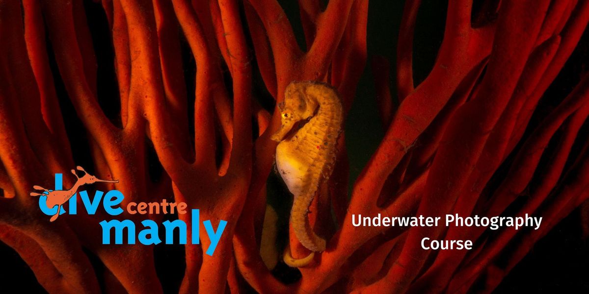 Underwater Photography Fundamentals Course