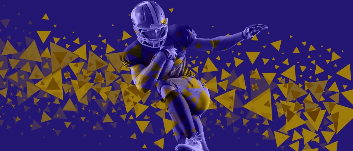 Miami Dolphins vs. Baltimore Ravens