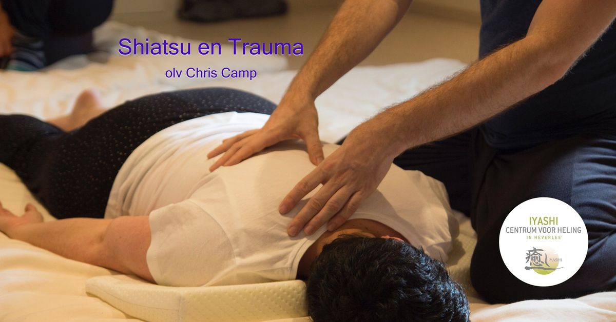 Shiatsu en Trauma verdiepingsdag