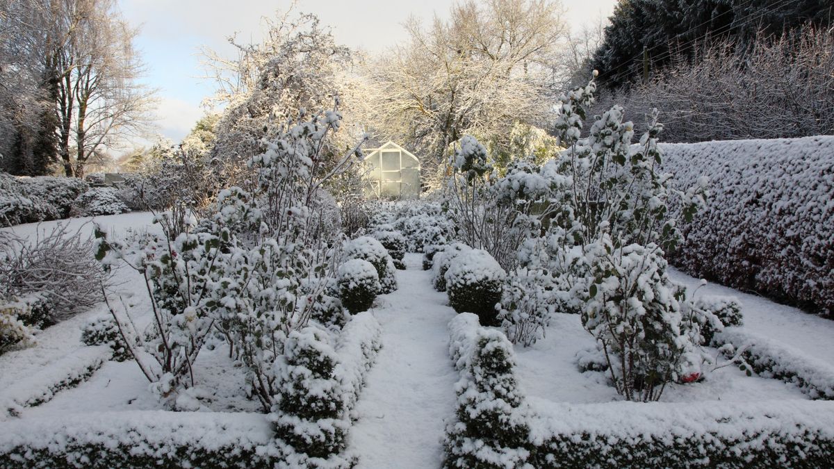 Strategies for Successfully Winterizing your Garden