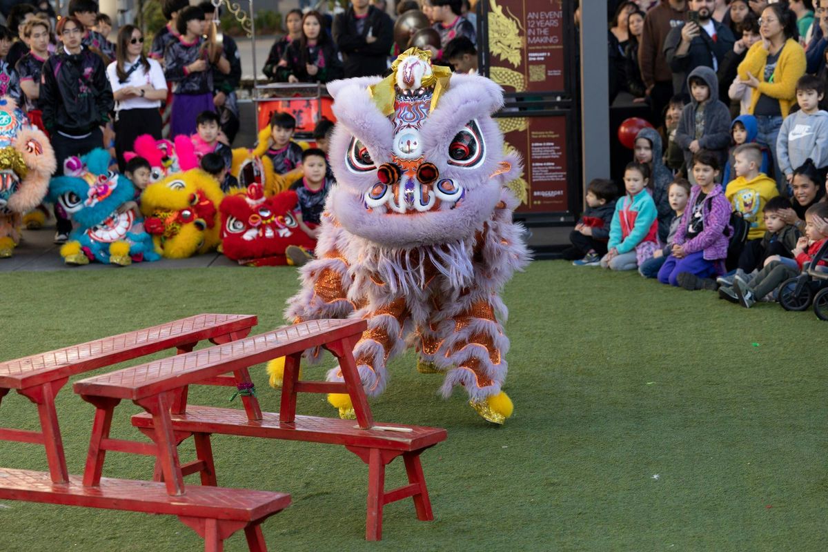 Lunar New Year Celebration