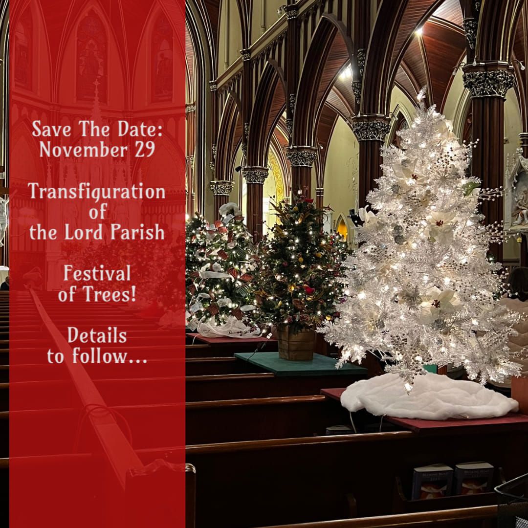 2024 Festival of the Trees