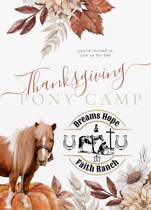 Thanksgiving Pony Camp