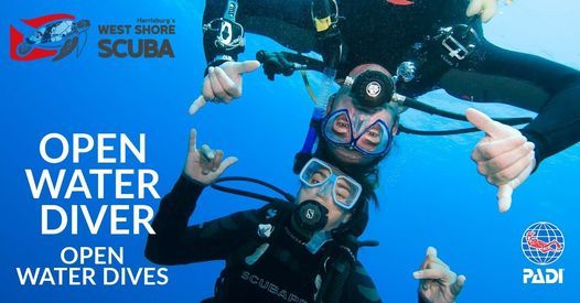 Open Water Diver Checkout Dives