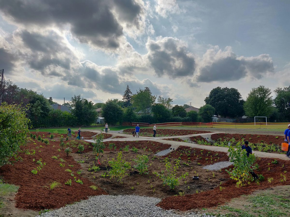 Rain Garden Maintenance
