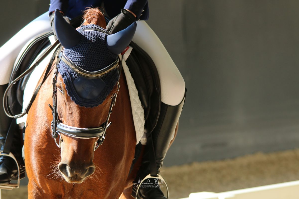 2025 Onkaparinga Pony Club Dressage Comp & Southern Zone Dressage Series (Comp 1)