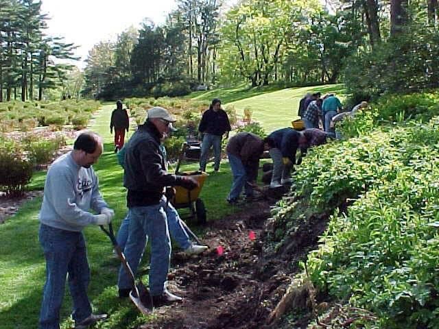 Volunteer Service Event at the Arb