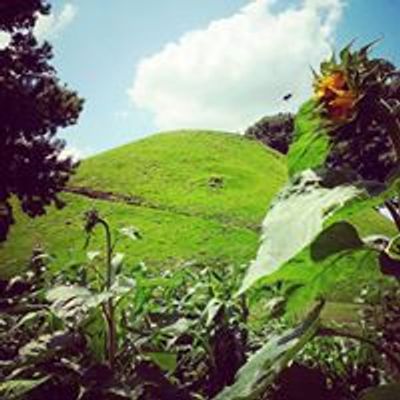 Grave Creek Mound Archaeological Complex