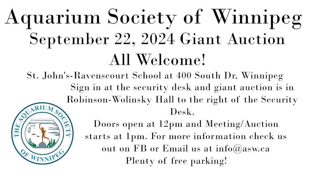 Giant Aquarium Society Auction