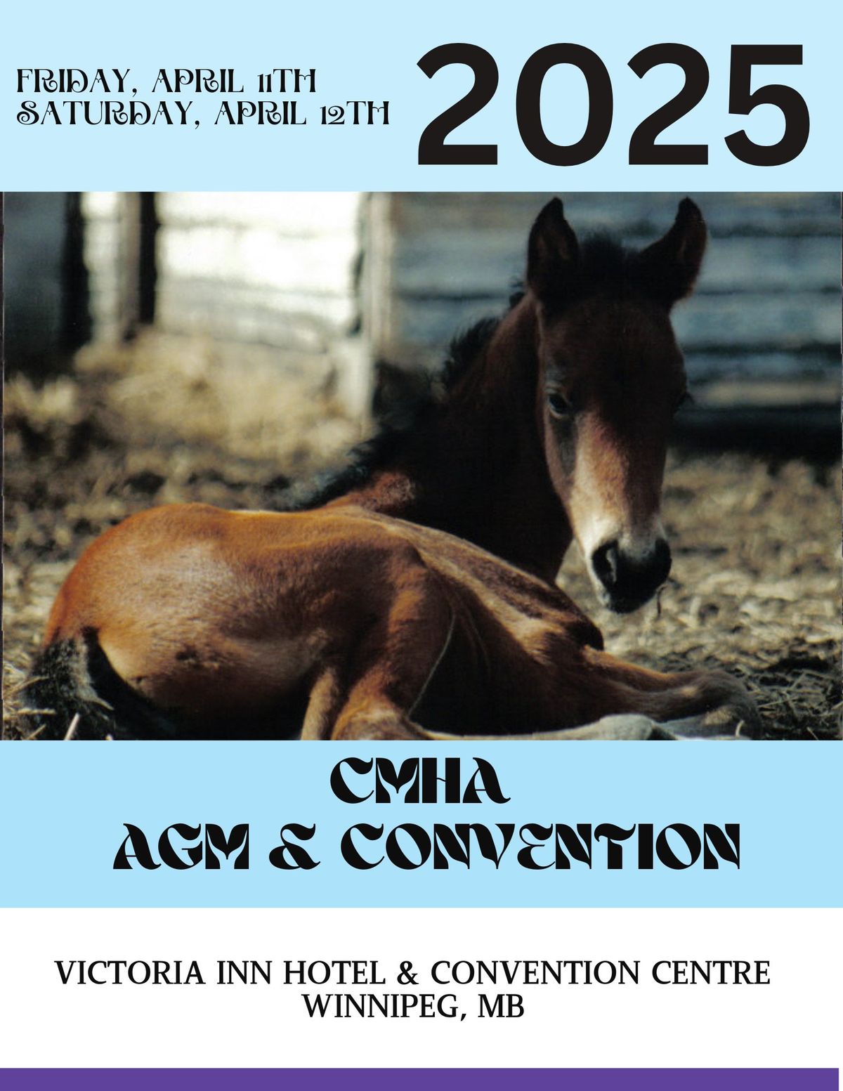 Canadian Morgan Horse Association AGM & Convention