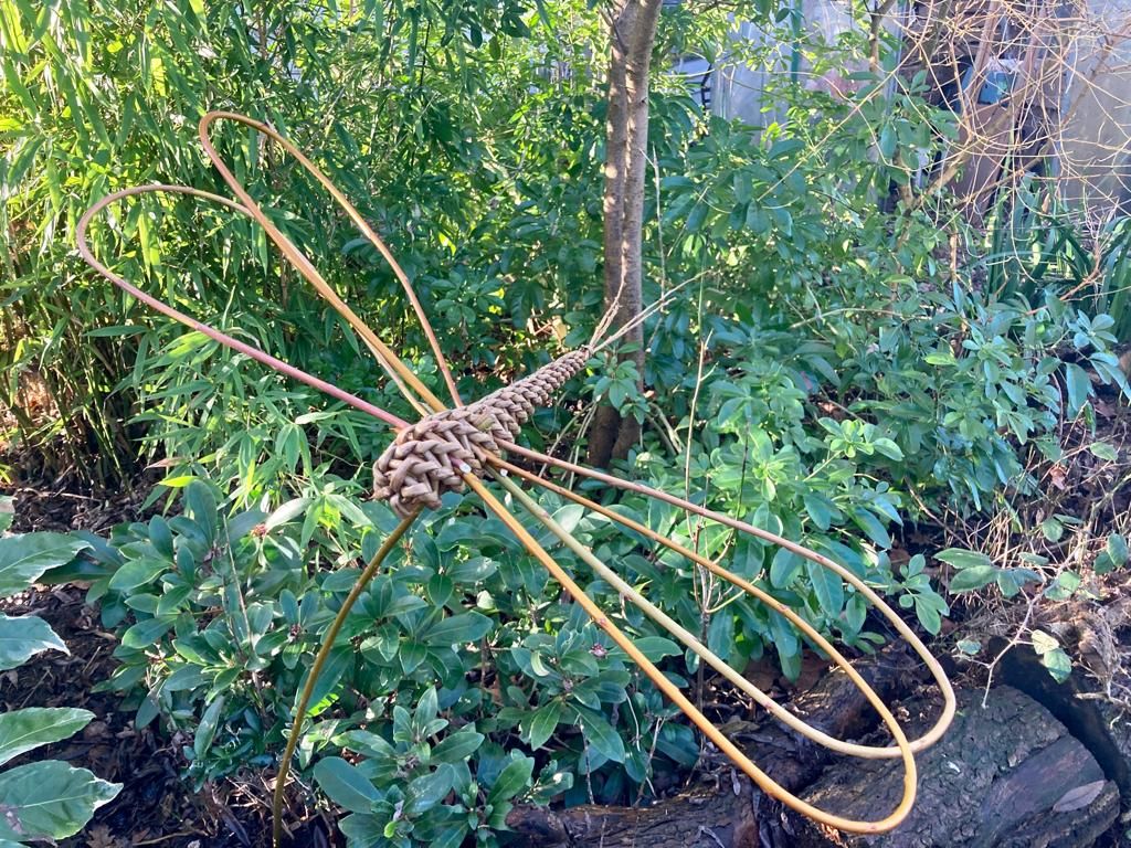 Willow Weaving workshop - Dragonfly