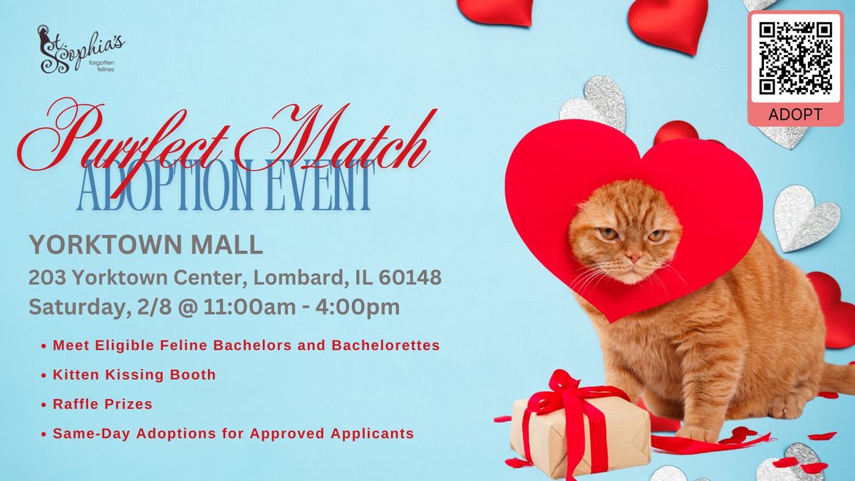 Purrfect Match: Valentine'sAdoption Event