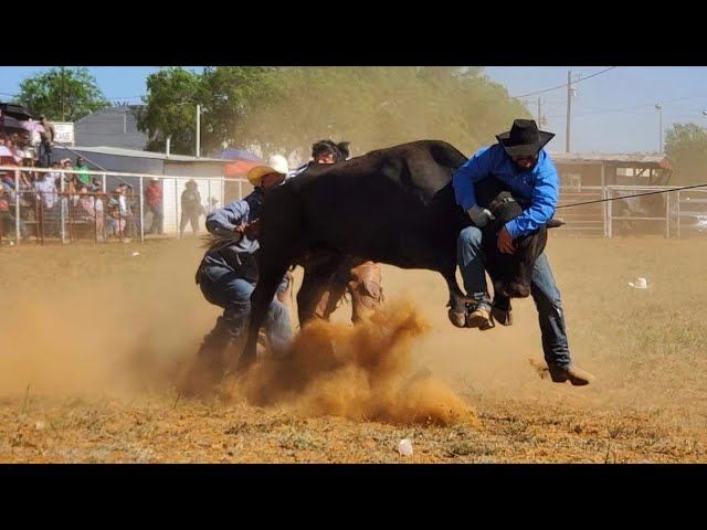  WARWICK RODEO 2024