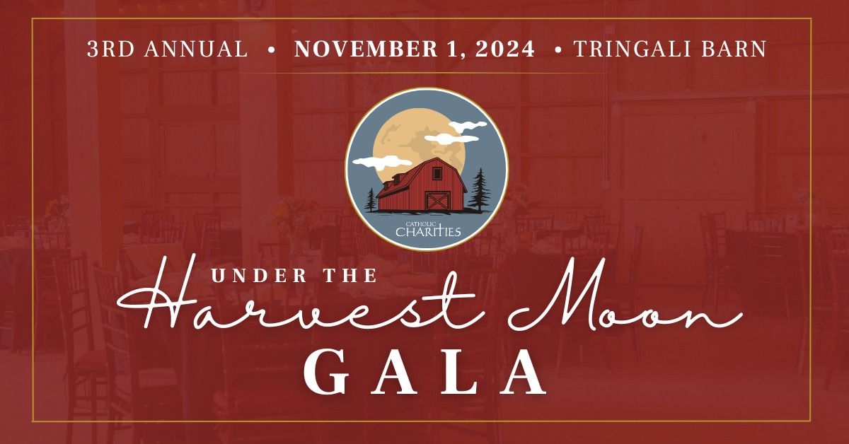 Under the Harvest Moon Gala 2024 - Catholic Charities St. Augustine