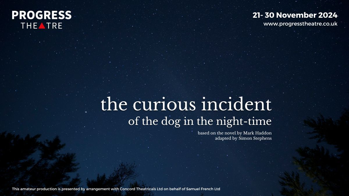 The Curious Incident of the Dog in the Night-Time