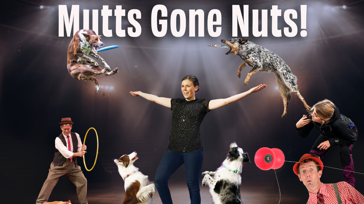 Mutts Gone Nuts at Dana Center-Koonz Theatre