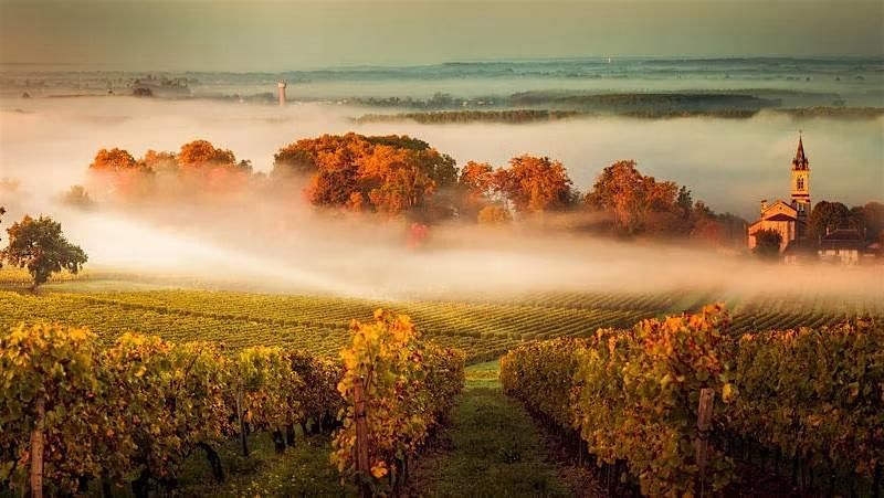 A Night in Bordeaux:  French Wine Dinner