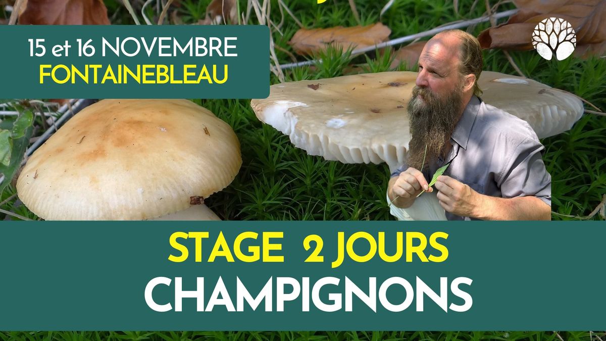 STAGE CHAMPIGNONS - 2 JOURS