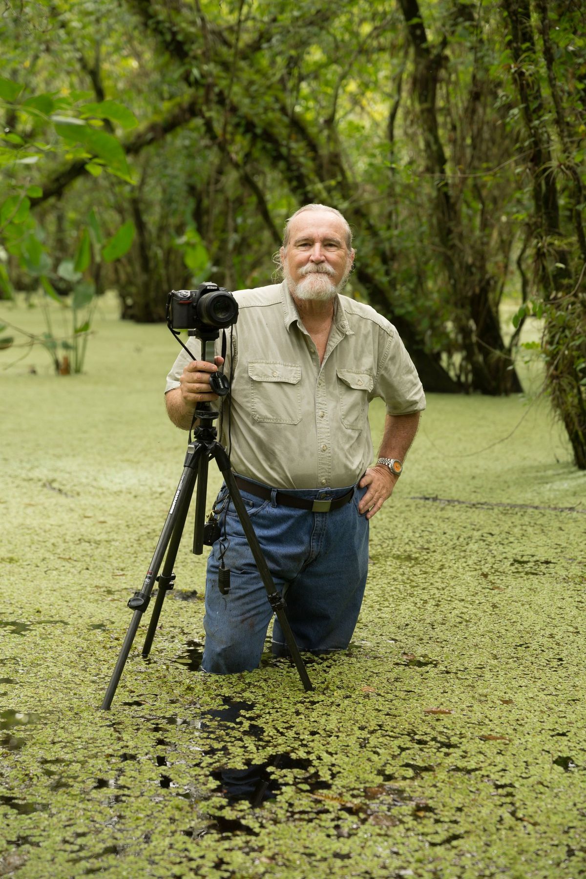 MONTHLY MEETING - ROGER HAMMER - NATIVE WILDFLOWERS OF PBC - w\/ SIERRA CLUB LOXAHATCHEE GROUP