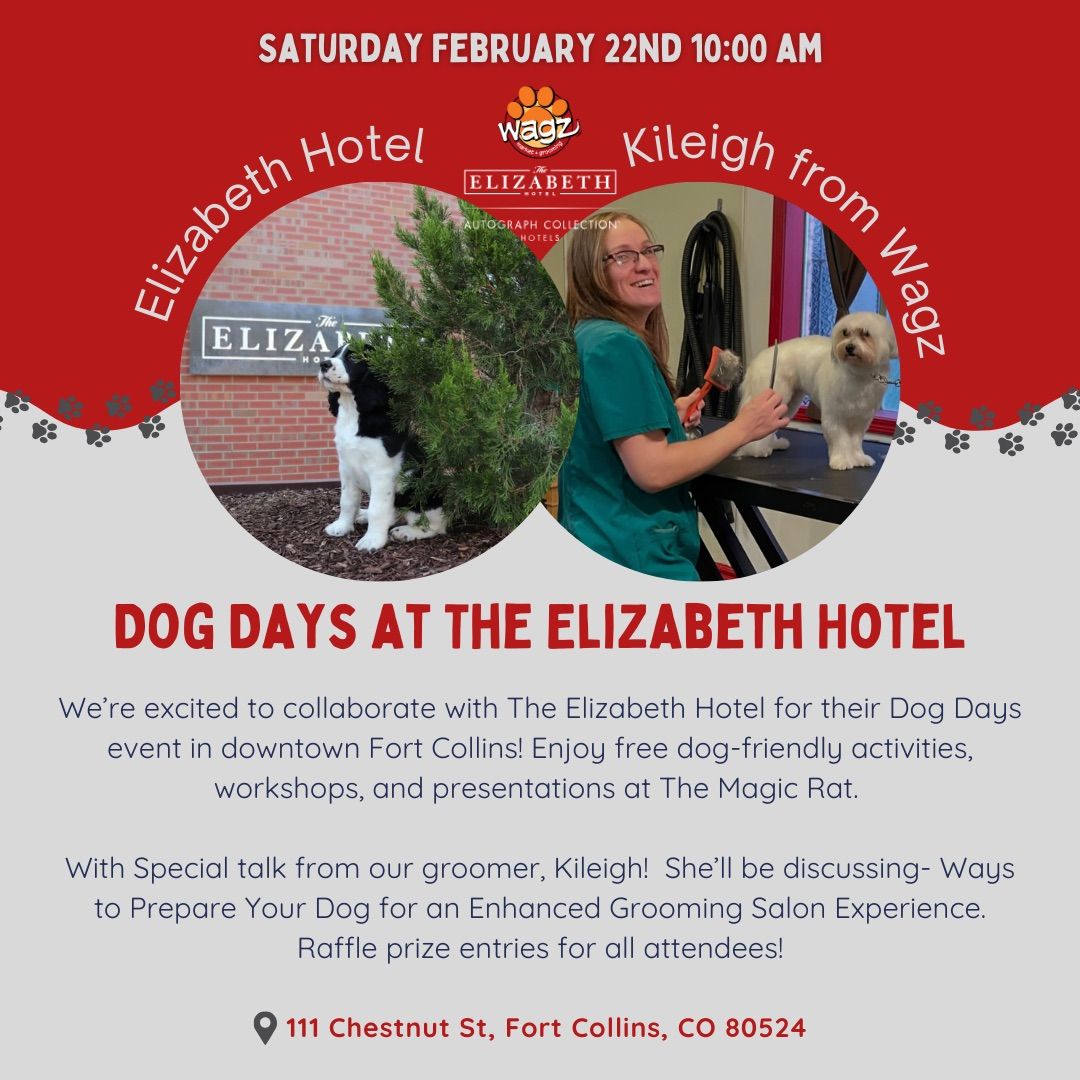 Dog Days at The Elizabeth with special talk from Wagz Groomer, Kileigh!