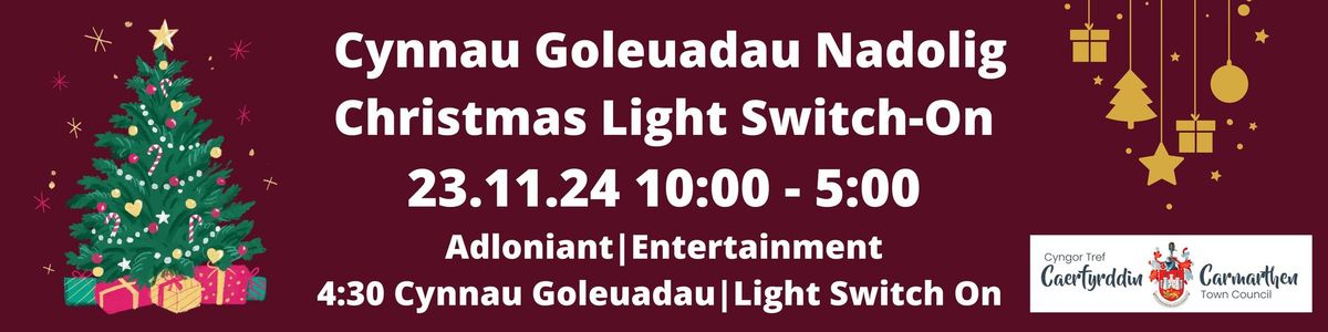 Cynnau Goleuadau Nadolig | Christmas Light Switch-On