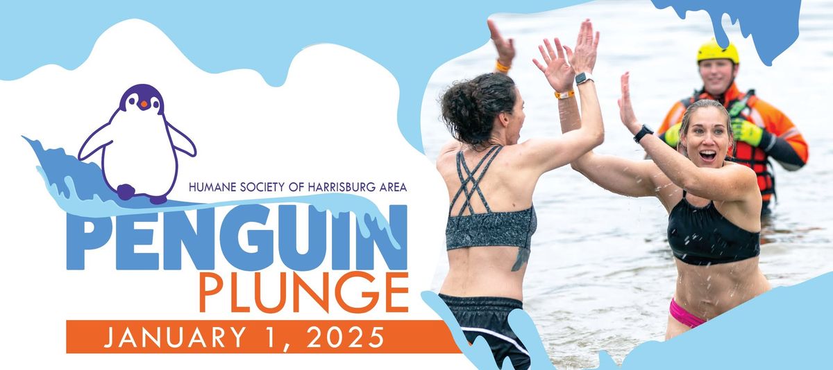 28th Annual Penguin Plunge