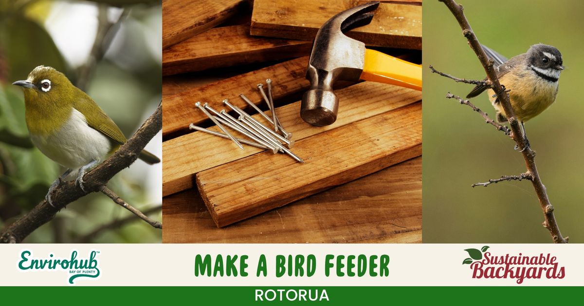 Make a Bird Feeder