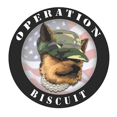 Operation Biscuit